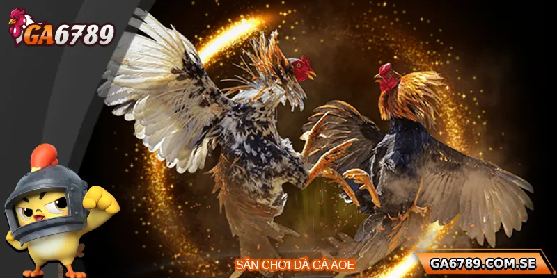 Tổng quan về sân chơi đá gà AOE